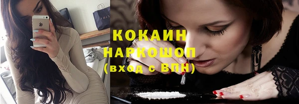 индика Баксан