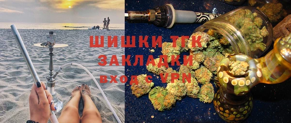 индика Баксан