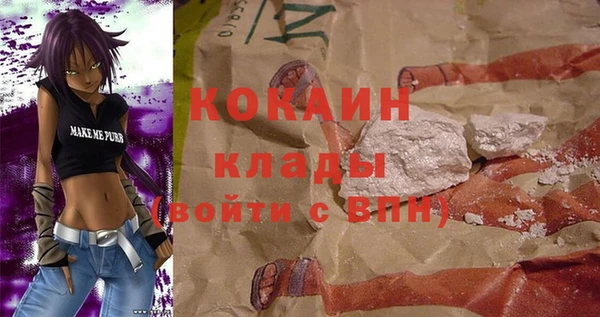 индика Баксан