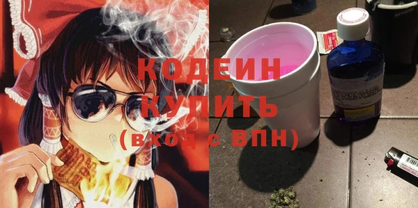 индика Баксан