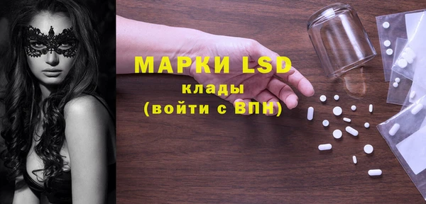 индика Баксан