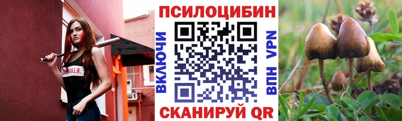 сколько стоит  Цивильск  ОМГ ОМГ ONION  Галлюциногенные грибы прущие грибы 