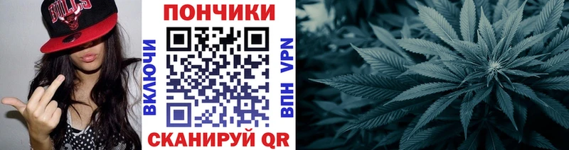 где можно купить   Цивильск  Марихуана гибрид 